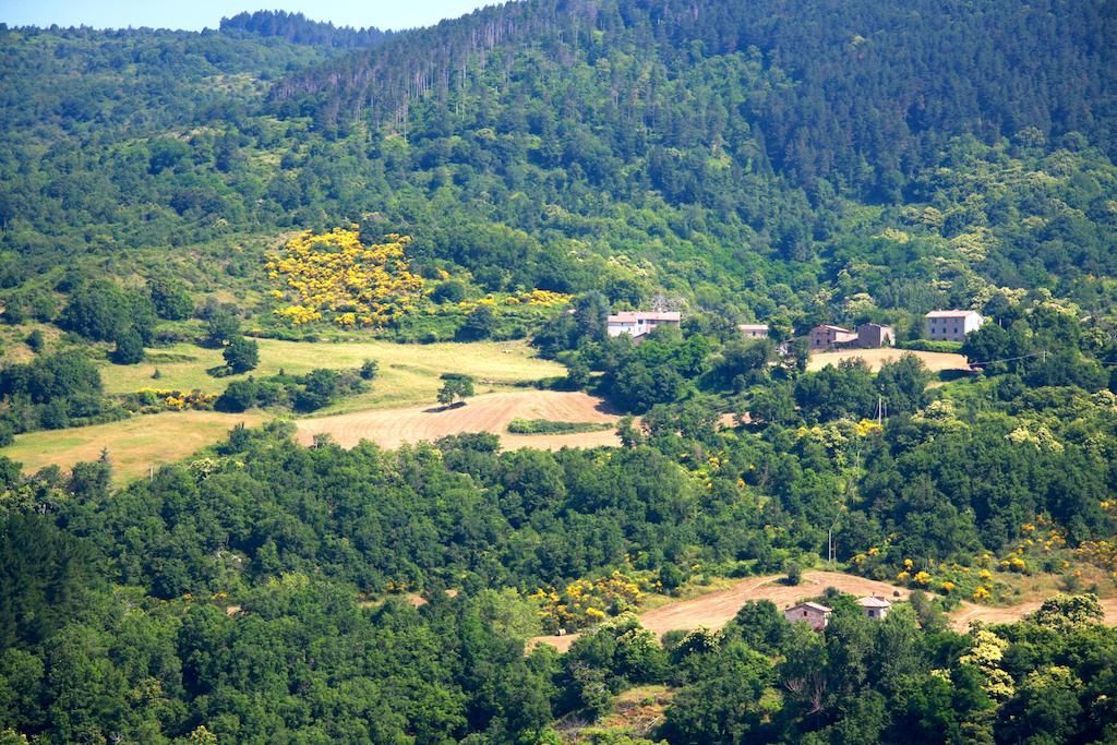 Borgo Fango Montieri Exterior foto